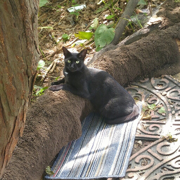 Meet your Posher, Anna - Picture 6 of 8